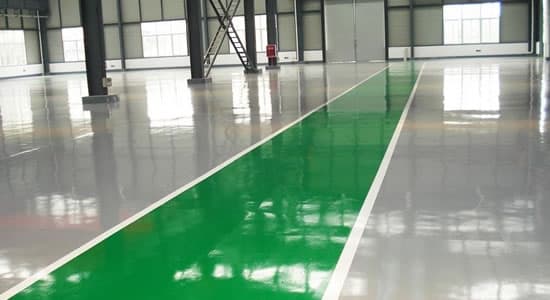 ������ƺ��