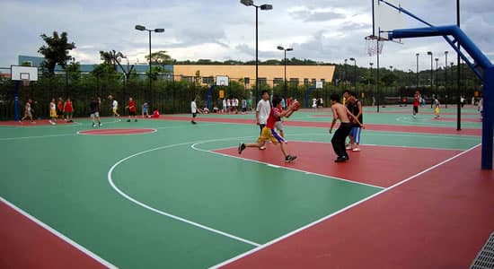 ��������������ƺ