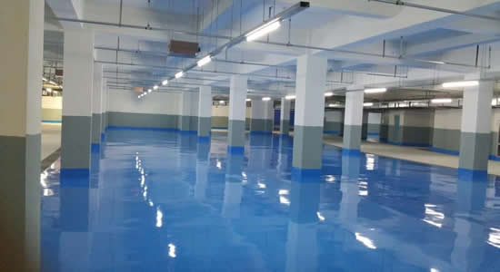 ������ƺ��