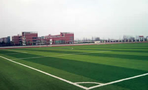 �����Ƥ��ƺ